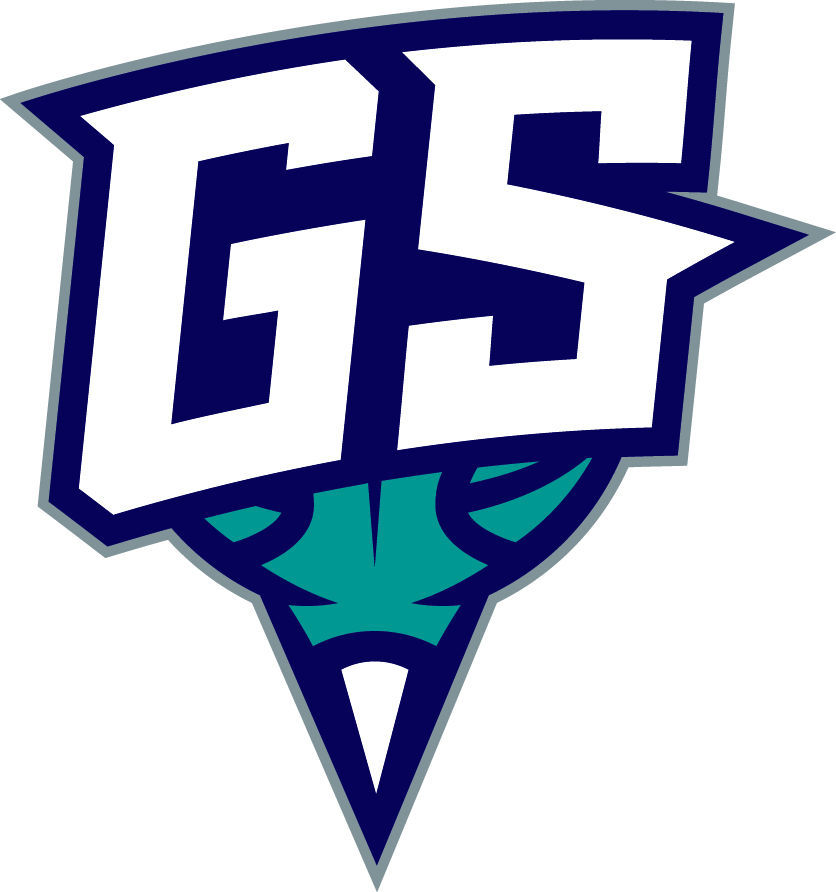 Greensboro Swarm 2016-Pres Secondary Logo iron on heat transfer